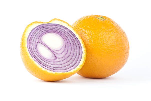 Cebas / Shutterstock.com