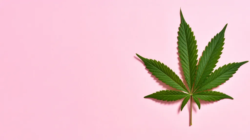 Ein Blatt wie jedes Andere, Markenrecht, Rechtsanwalt, Hanf
