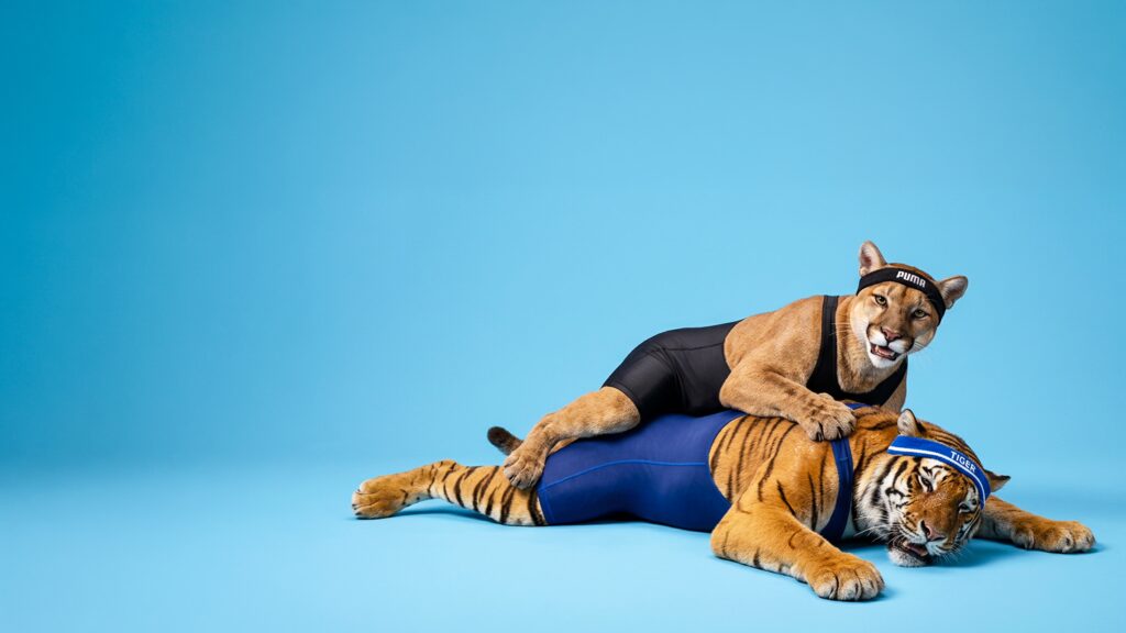 Puma vs. Tiger Woods, Markenrecht, Bekanntheitsschutz, Rechtsanwalt